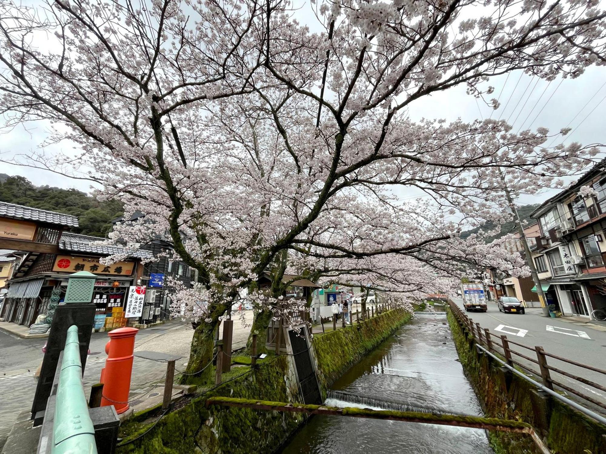 城崎温泉一棟貸し　旅宿yadokari Toyooka  Extérieur photo